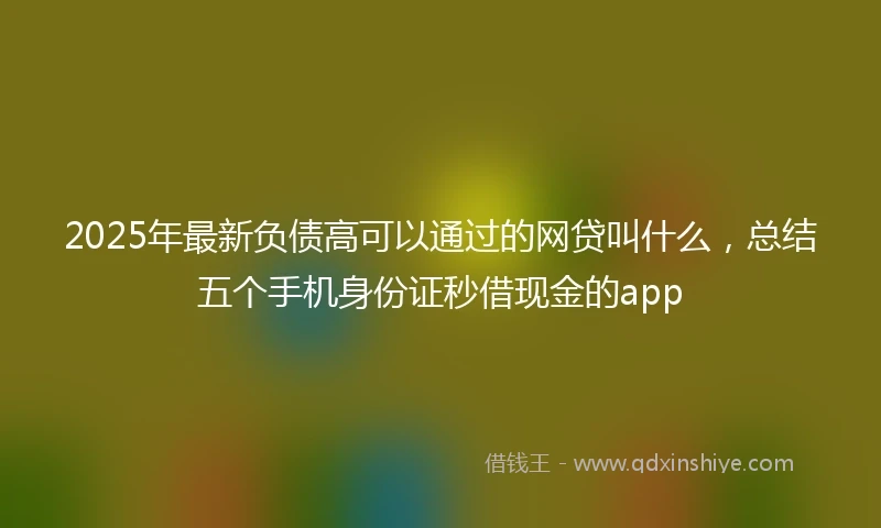 2025年最新负债高可以通过的网贷叫什么，总结五个手机身份证秒借现金的app