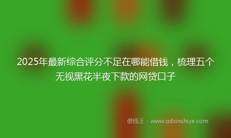 2025年最新综合评分不足在哪能借钱，梳理五个无视黑花半夜下款的网贷口子