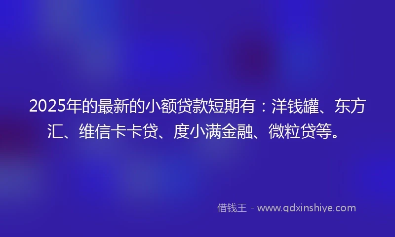 2025年的最新的小额贷款短期有：洋钱罐、东方汇、维信卡卡贷、度小满金融、微粒贷等。