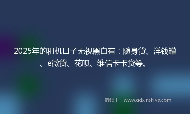2025年的租机口子无视黑白有：随身贷、洋钱罐、e微贷、花呗、维信卡卡贷等。
