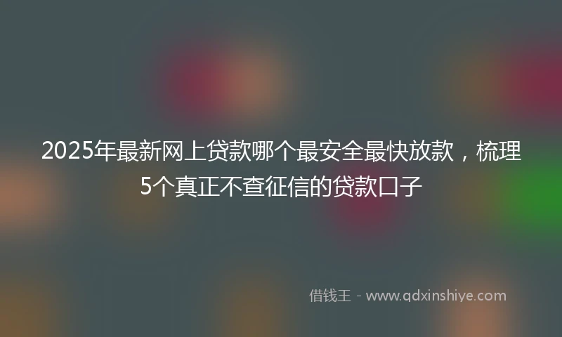 2025年最新网上贷款哪个最安全最快放款，梳理5个真正不查征信的贷款口子