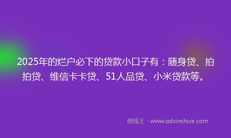 2025年的烂户必下的贷款小口子有：随身贷、拍拍贷、维信卡卡贷、51人品贷、小米贷款等。