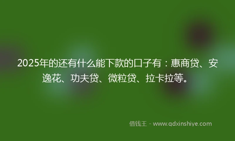 2025年的还有什么能下款的口子有：惠商贷、安逸花、功夫贷、微粒贷、拉卡拉等。