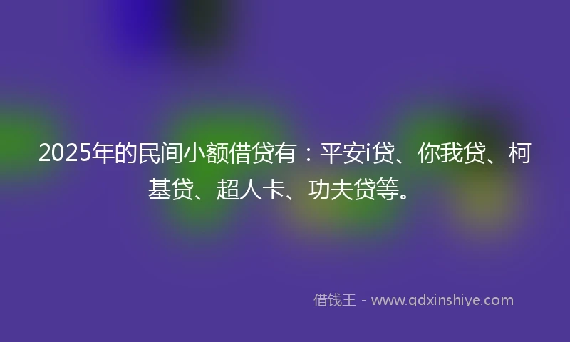 2025年的民间小额借贷有：平安i贷、你我贷、柯基贷、超人卡、功夫贷等。