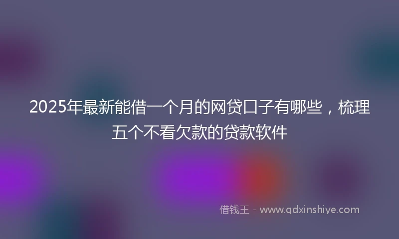 2025年最新能借一个月的网贷口子有哪些，梳理五个不看欠款的贷款软件