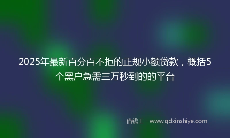 2025年最新百分百不拒的正规小额贷款，概括5个黑户急需三万秒到的的平台
