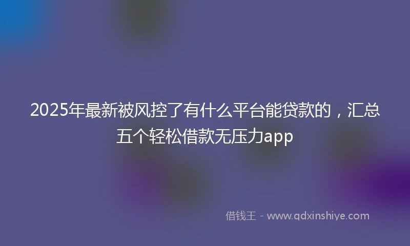 2025年最新被风控了有什么平台能贷款的，汇总五个轻松借款无压力app