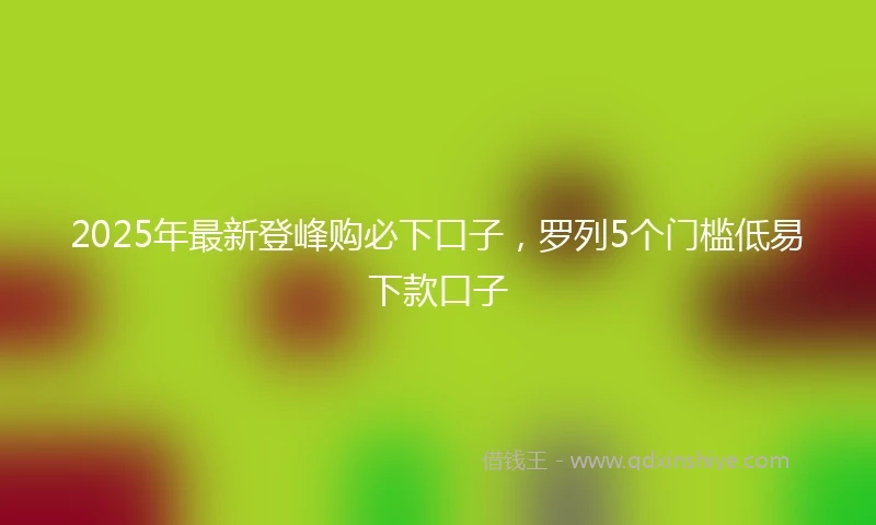 2025年最新登峰购必下口子，罗列5个门槛低易下款口子