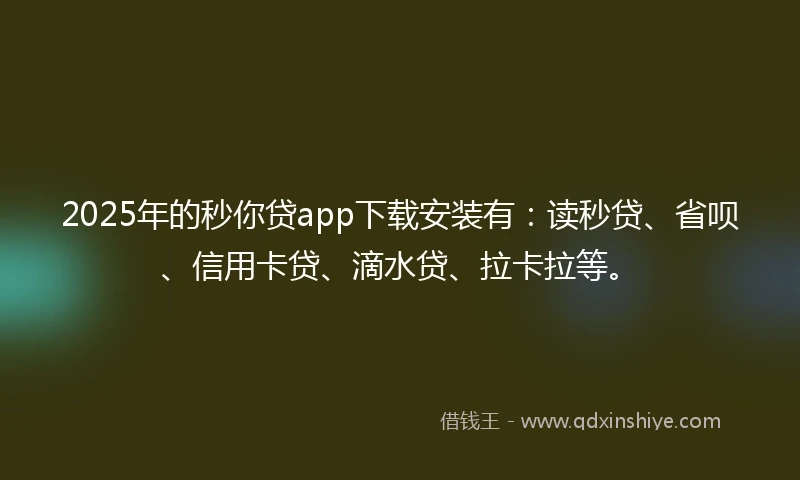 2025年的秒你贷app下载安装有：读秒贷、省呗、信用卡贷、滴水贷、拉卡拉等。