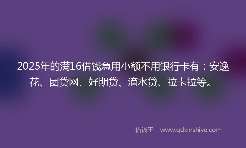 2025年的满16借钱急用小额不用银行卡有：安逸花、团贷网、好期贷、滴水贷、拉卡拉等。
