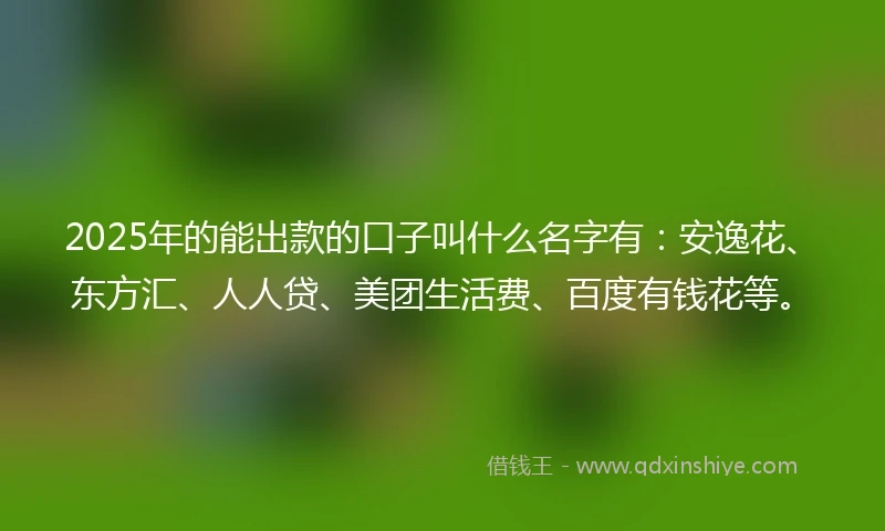 2025年的能出款的口子叫什么名字有：安逸花、东方汇、人人贷、美团生活费、百度有钱花等。