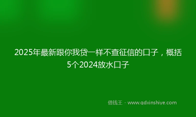 2025年最新跟你我贷一样不查征信的口子，概括5个2024放水口子