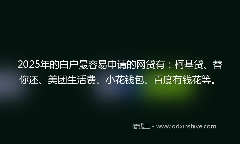 2025年的白户最容易申请的网贷有：柯基贷、替你还、美团生活费、小花钱包、百度有钱花等。