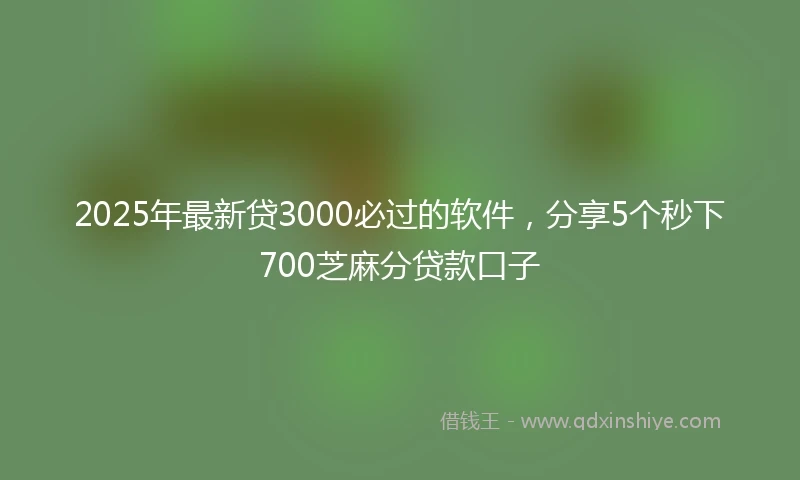 2025年最新贷3000必过的软件，分享5个秒下700芝麻分贷款口子