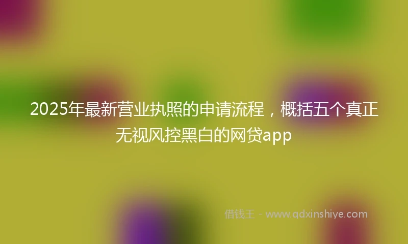 2025年最新营业执照的申请流程，概括五个真正无视风控黑白的网贷app