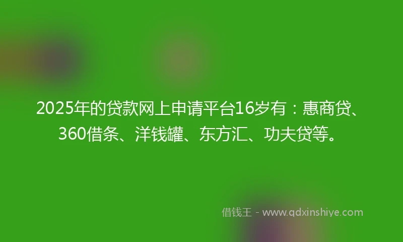 2025年的贷款网上申请平台16岁有：惠商贷、360借条、洋钱罐、东方汇、功夫贷等。