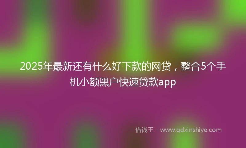 2025年最新还有什么好下款的网贷,整合5个手机小额黑户快速贷款app