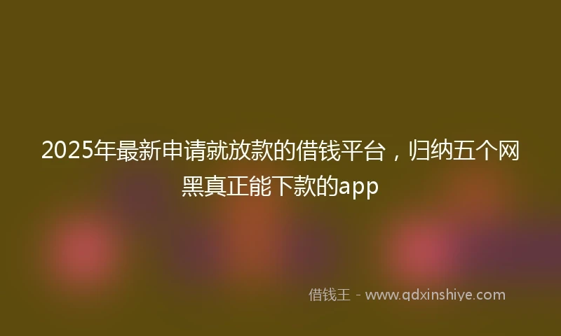 2025年最新申请就放款的借钱平台，归纳五个网黑真正能下款的app