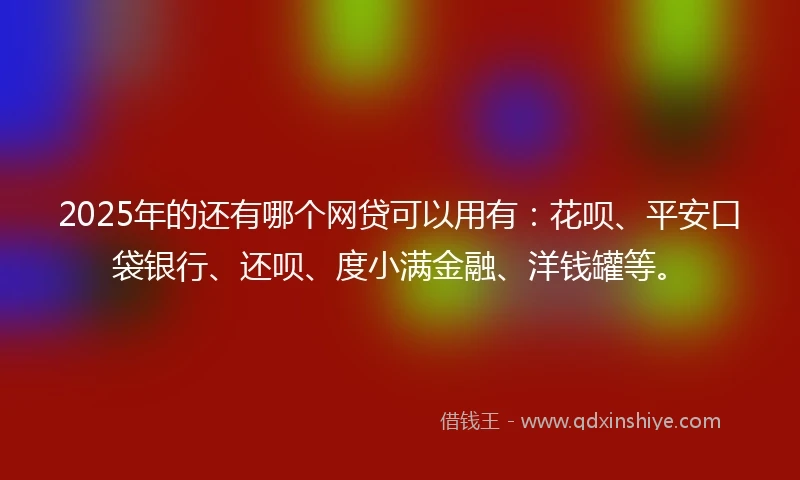 2025年的还有哪个网贷可以用有：花呗、平安口袋银行、还呗、度小满金融、洋钱罐等。