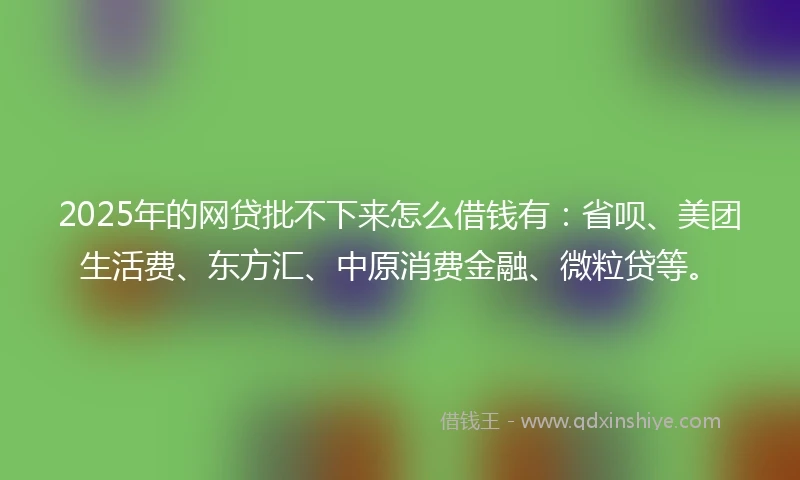 2025年的网贷批不下来怎么借钱有：省呗、美团生活费、东方汇、中原消费金融、微粒贷等。