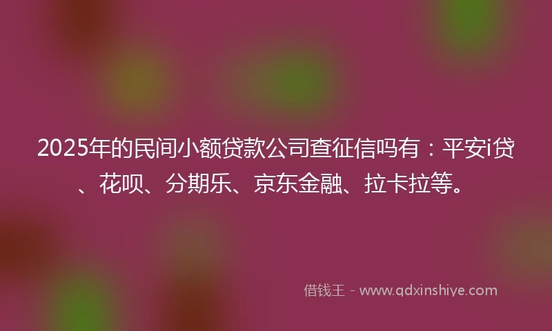 2025年的民间小额贷款公司查征信吗有：平安i贷、花呗、分期乐、京东金融、拉卡拉等。
