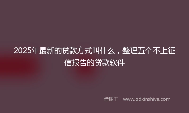2025年最新的贷款方式叫什么，整理五个不上征信报告的贷款软件