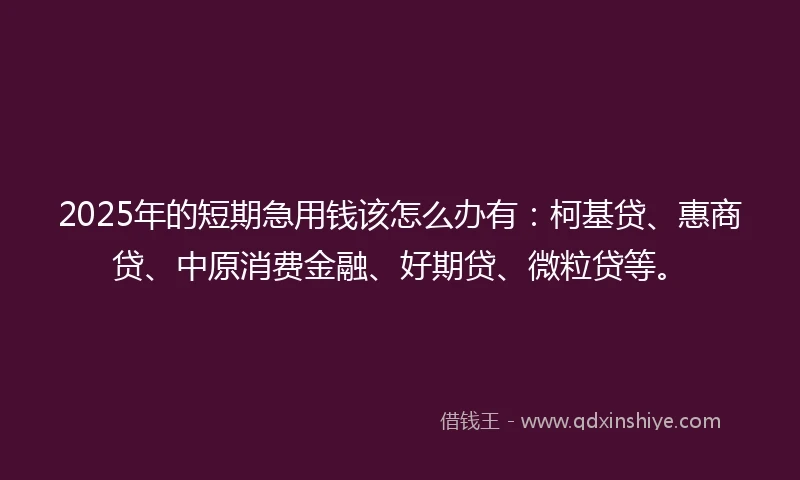 2025年的短期急用钱该怎么办有：柯基贷、惠商贷、中原消费金融、好期贷、微粒贷等。