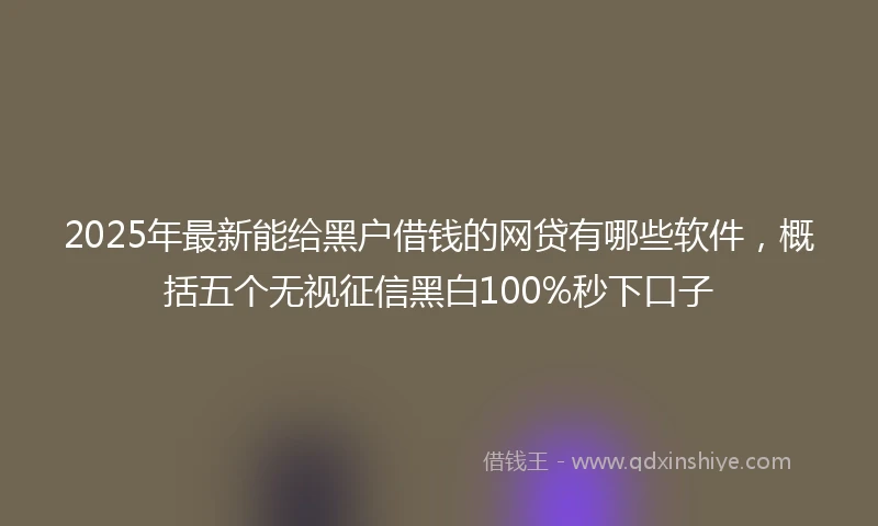 2025年最新能给黑户借钱的网贷有哪些软件，概括五个无视征信黑白100%秒下口子