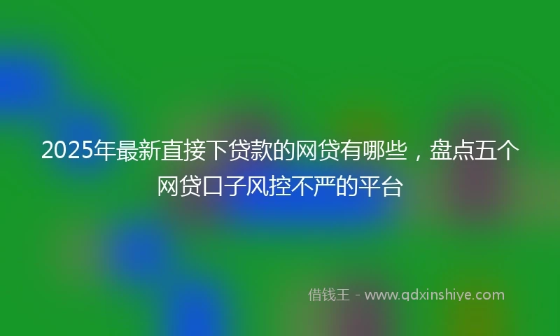 2025年最新直接下贷款的网贷有哪些，盘点五个网贷口子风控不严的平台