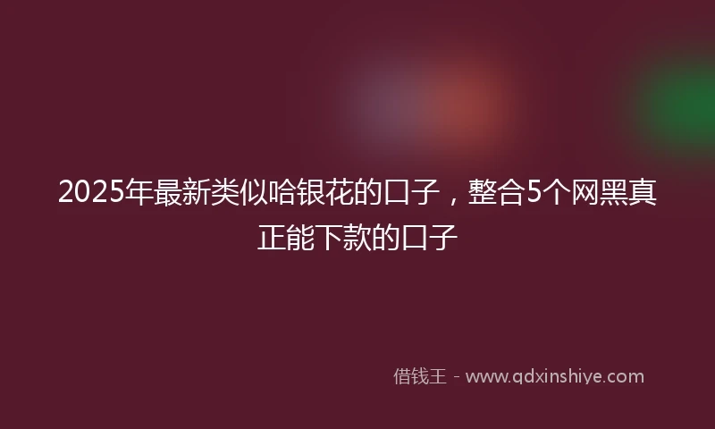 2025年最新类似哈银花的口子，整合5个网黑真正能下款的口子