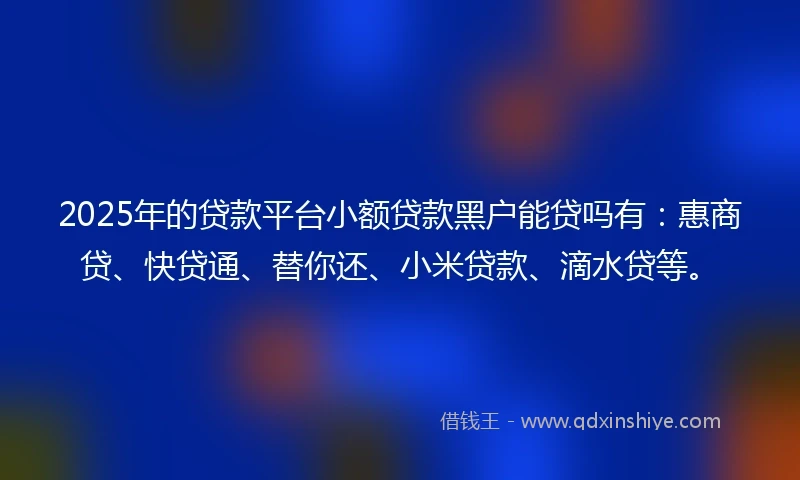 2025年的贷款平台小额贷款黑户能贷吗有：惠商贷、快贷通、替你还、小米贷款、滴水贷等。