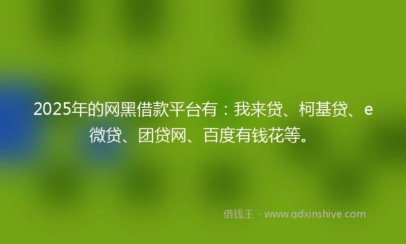2025年的网黑借款平台有：我来贷、柯基贷、e微贷、团贷网、百度有钱花等。