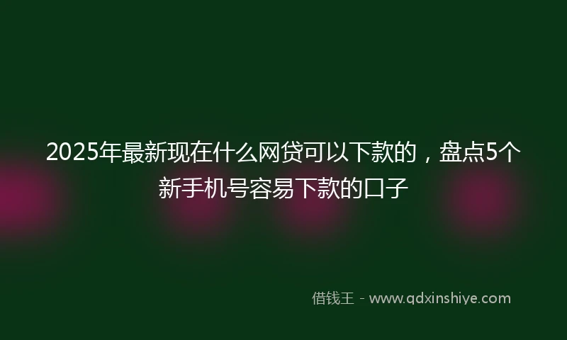 2025年最新现在什么网贷可以下款的，盘点5个新手机号容易下款的口子