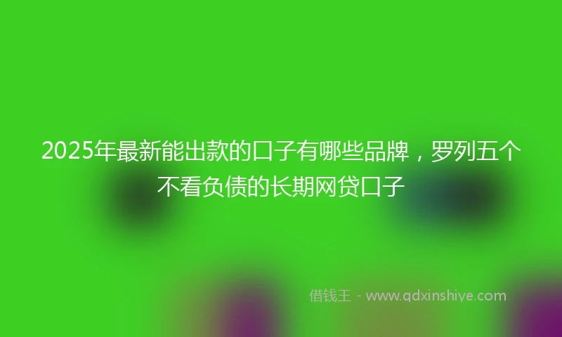 2025年最新能出款的口子有哪些品牌，罗列五个不看负债的长期网贷口子