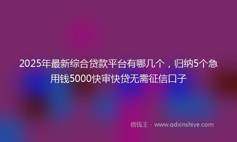 2025年最新综合贷款平台有哪几个，归纳5个急用钱5000快审快贷无需征信口子