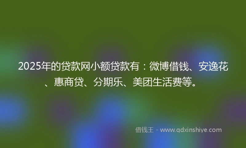 2025年的贷款网小额贷款有：微博借钱、安逸花、惠商贷、分期乐、美团生活费等。