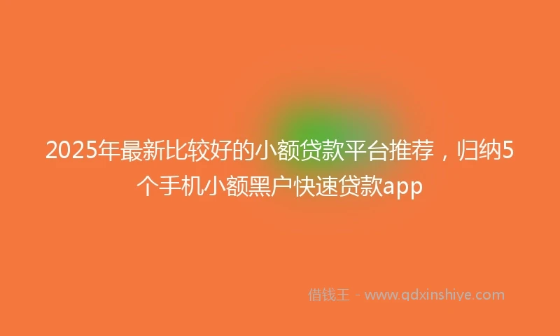 2025年最新比较好的小额贷款平台推荐，归纳5个手机小额黑户快速贷款app