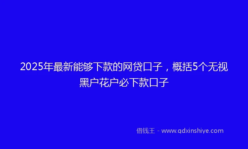 2025年最新能够下款的网贷口子，概括5个无视黑户花户必下款口子