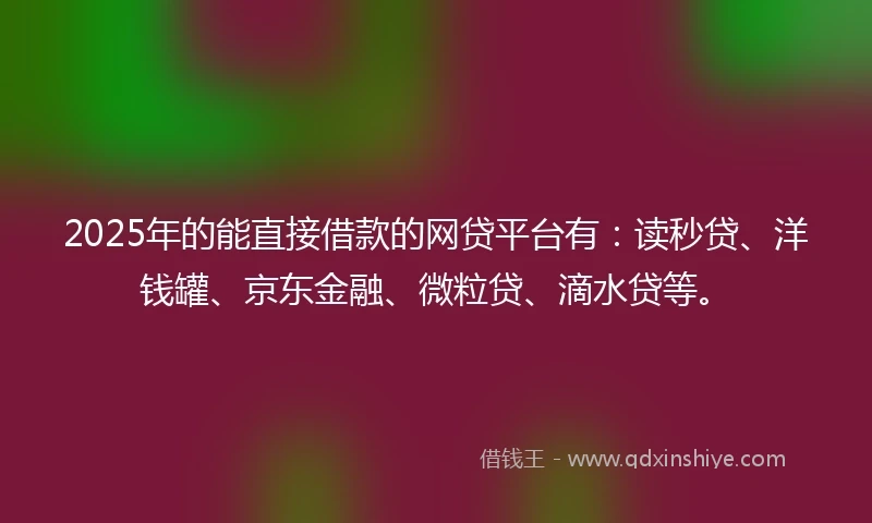 2025年的能直接借款的网贷平台有：读秒贷、洋钱罐、京东金融、微粒贷、滴水贷等。