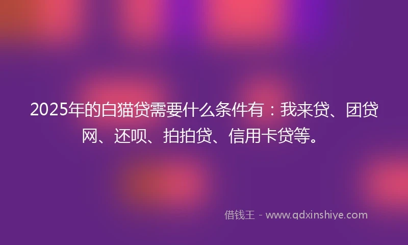 2025年的白猫贷需要什么条件有：我来贷、团贷网、还呗、拍拍贷、信用卡贷等。