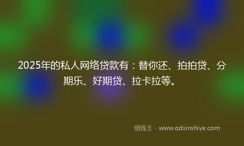 2025年的私人网络贷款有：替你还、拍拍贷、分期乐、好期贷、拉卡拉等。