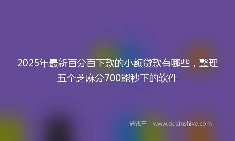 2025年最新百分百下款的小额贷款有哪些，整理五个芝麻分700能秒下的软件