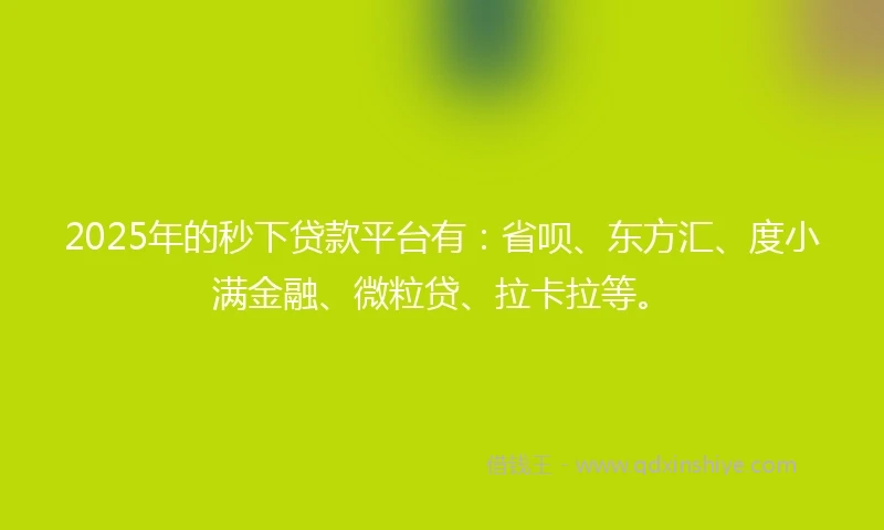 2025年的秒下贷款平台有：省呗、东方汇、度小满金融、微粒贷、拉卡拉等。