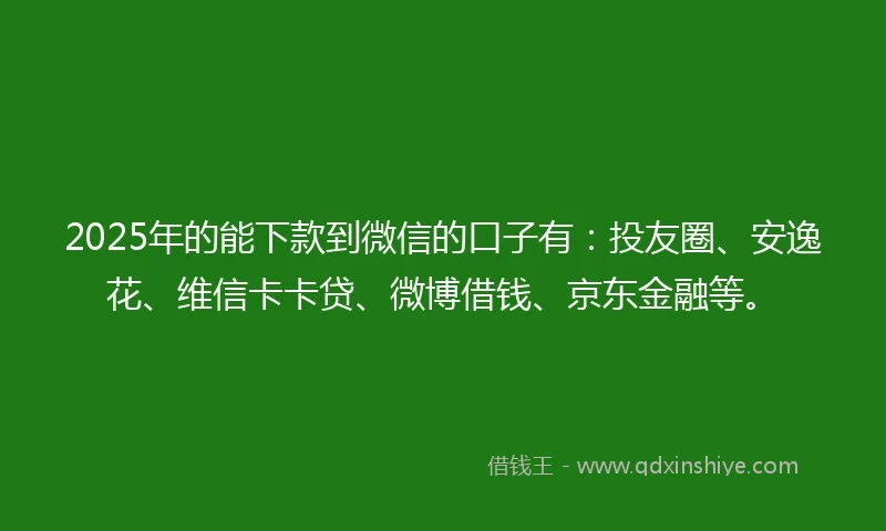 2025年的能下款到微信的口子有：投友圈、安逸花、维信卡卡贷、微博借钱、京东金融等。