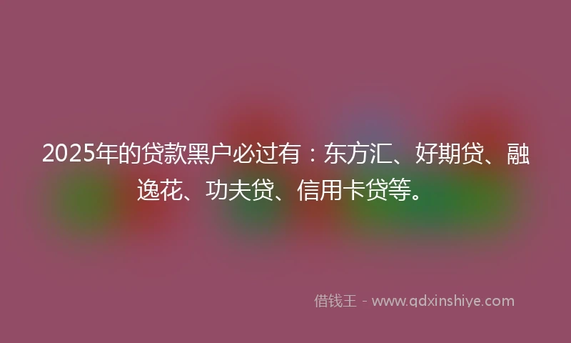 2025年的贷款黑户必过有:东方汇、好期贷、融逸花、功夫贷、信用卡贷等。