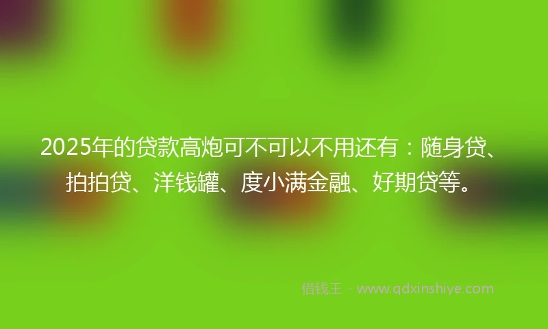 2025年的贷款高炮可不可以不用还有：随身贷、拍拍贷、洋钱罐、度小满金融、好期贷等。