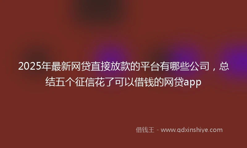 2025年最新网贷直接放款的平台有哪些公司，总结五个征信花了可以借钱的网贷app