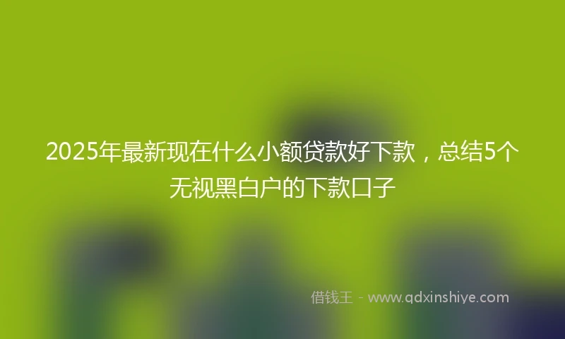 2025年最新现在什么小额贷款好下款，总结5个无视黑白户的下款口子