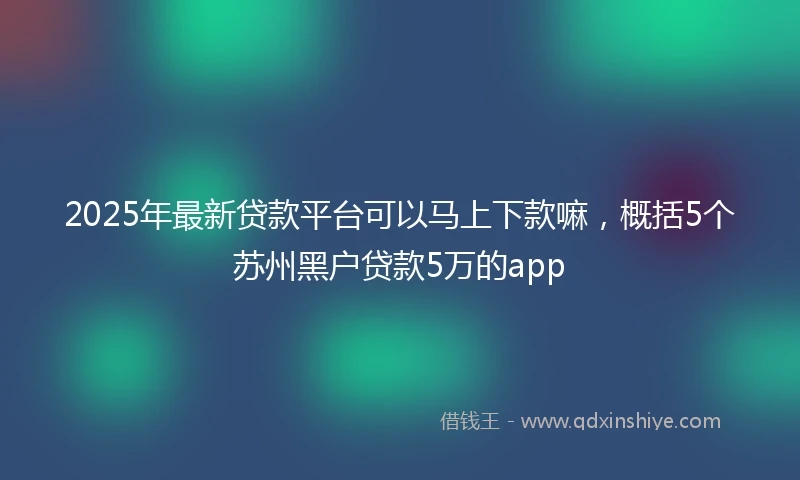 2025年最新贷款平台可以马上下款嘛,概括5个苏州黑户贷款5万的app