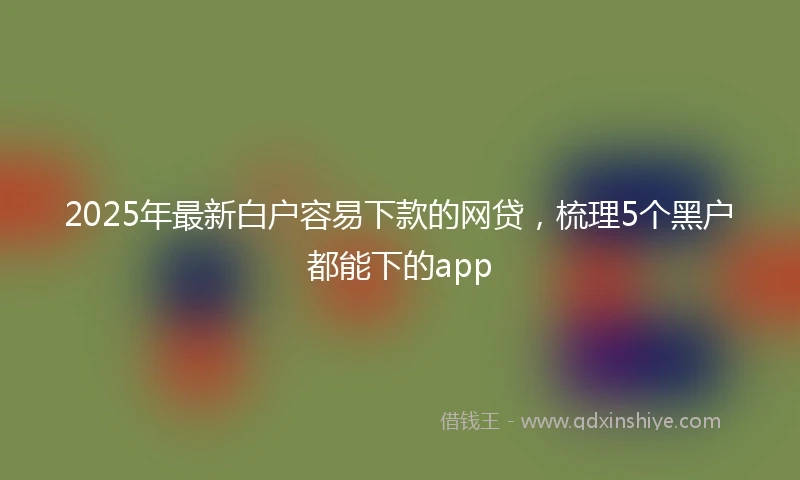 2025年最新白户容易下款的网贷，梳理5个黑户都能下的app